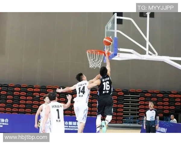 成都篮球队荣登全国篮球意识排行榜第二名引发热议