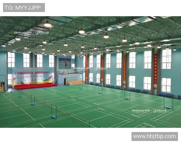 成都羽毛球队总决赛技术分析与表现评估全景解读