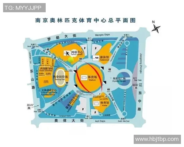 南京网球队状态分析与表现评估：数据背后的故事与启示