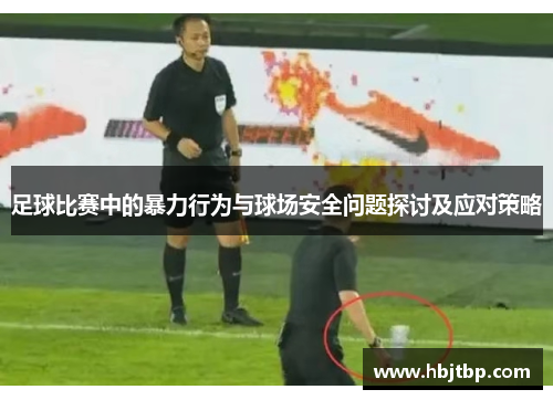 足球比赛中的暴力行为与球场安全问题探讨及应对策略