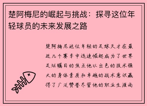 楚阿梅尼的崛起与挑战：探寻这位年轻球员的未来发展之路